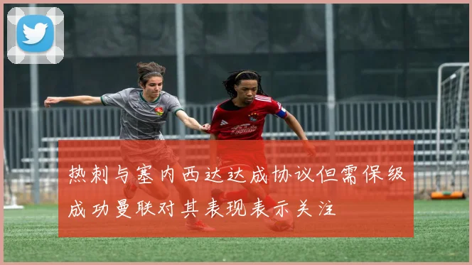 热刺与塞内西达达成协议但需保级成功曼联对其表现表示关注