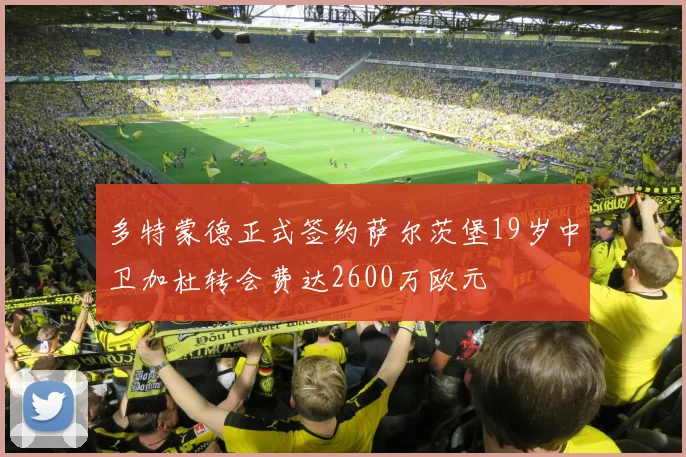 多特蒙德正式签约萨尔茨堡19岁中卫加杜转会费达2600万欧元